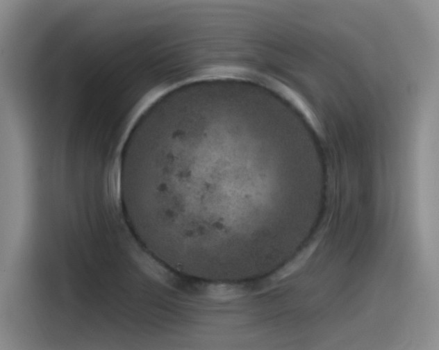 X0000115531275200911061433