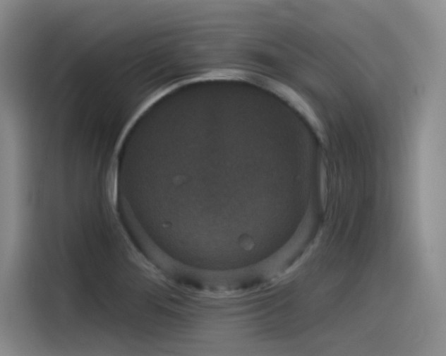 X0000115531276200911061433