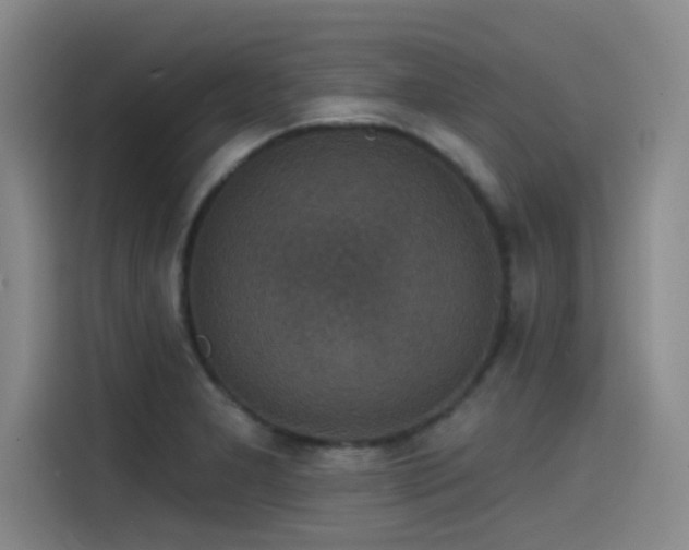 X0000115531277200911061433