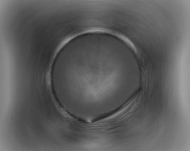 X0000115531279200911061433