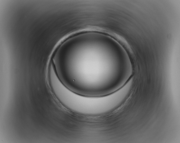 X0000115531280200911061433