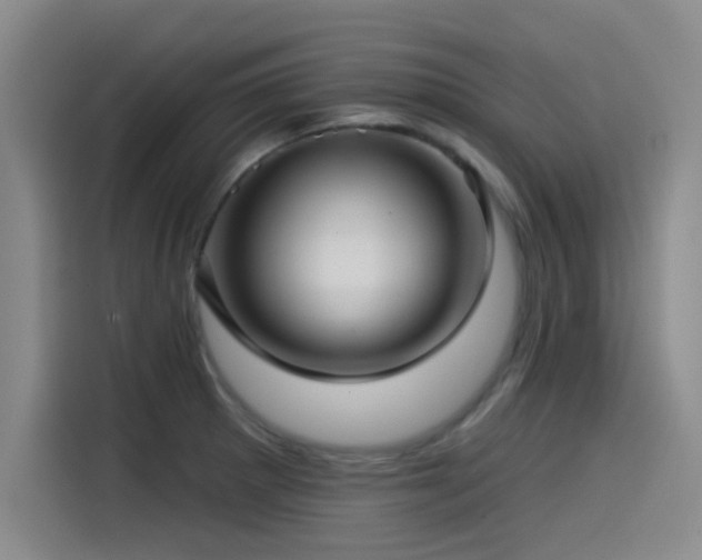 X0000115531281200911061433