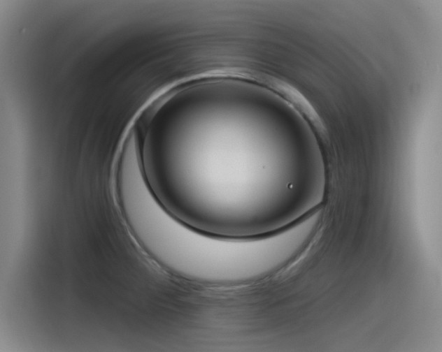X0000115531284200911061433