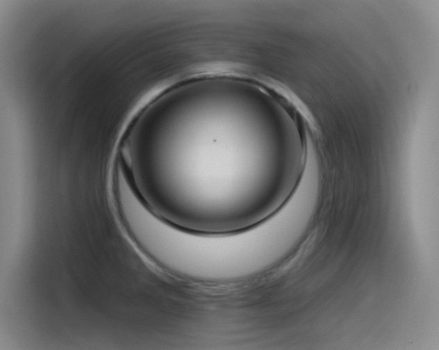 X0000115531285200911061433