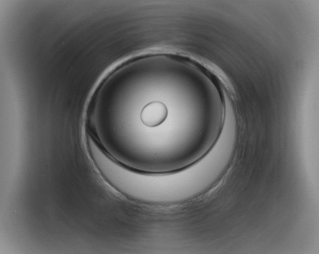 X0000115531288200911061433
