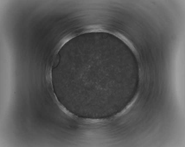 X0000115531289200911061433
