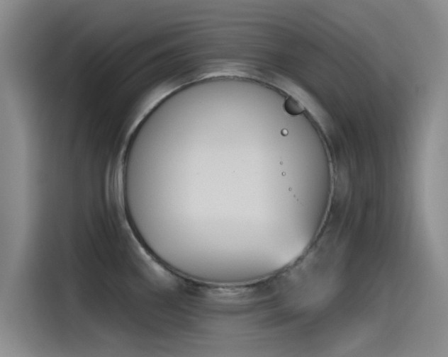 X0000115531290200911061433