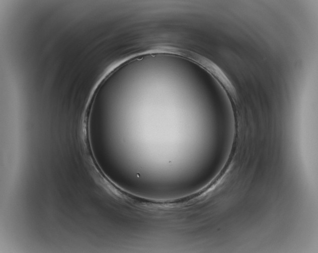 X0000115531292200911061433