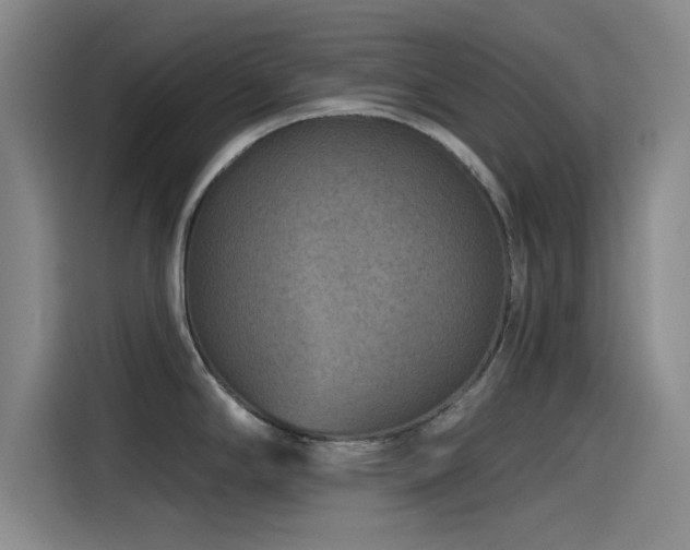 X0000115531294200911061433
