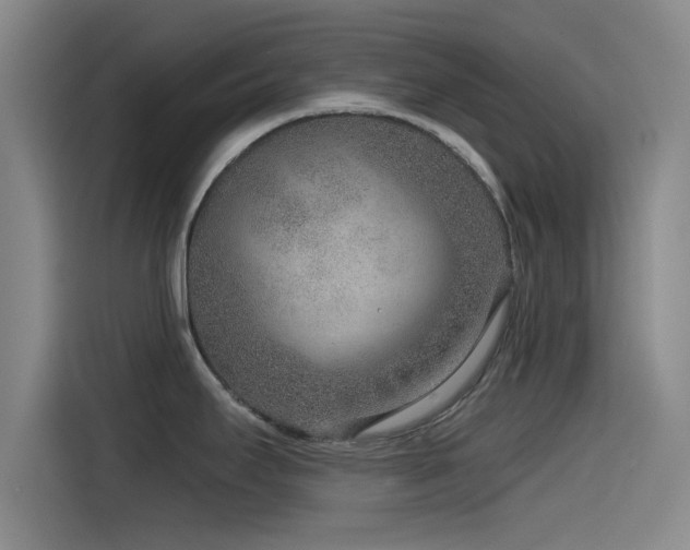 X0000115531295200911061433