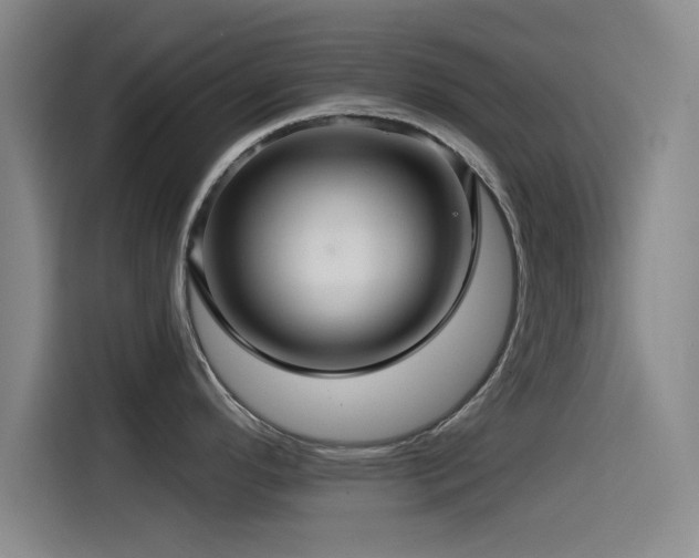 X0000115531296200911061432