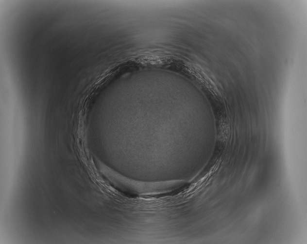X0000115531297200911061432