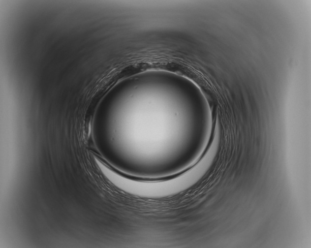 X0000115531298200911061432