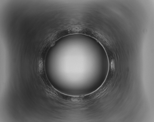 X0000115531299200911061432