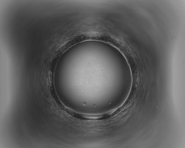 X0000115531301200911061432