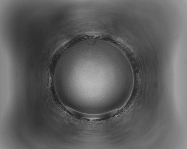 X0000115531302200911061432