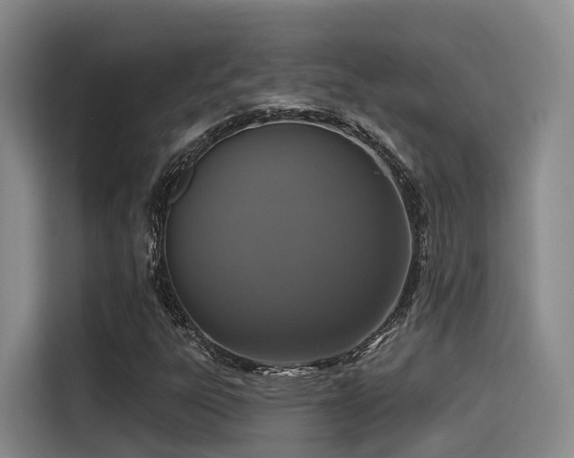 X0000115531303200911061432
