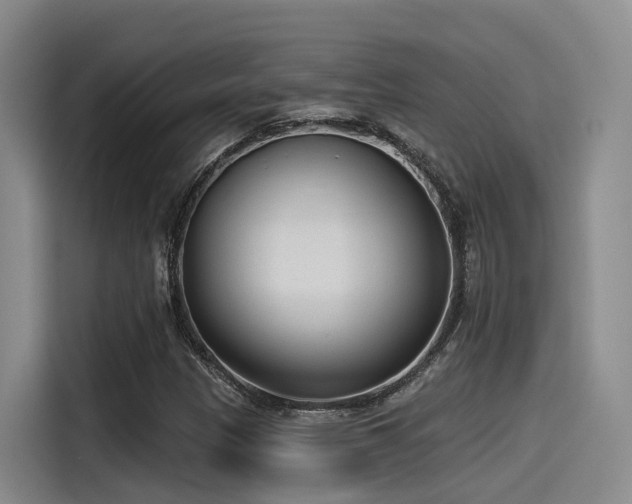 X0000115531305200911061432