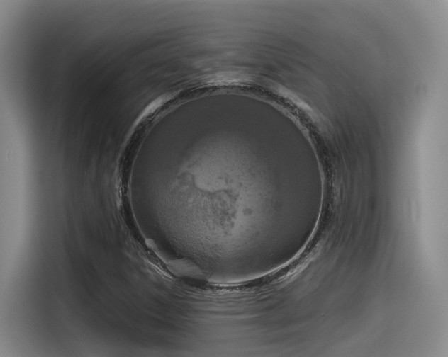 X0000115531306200911061432