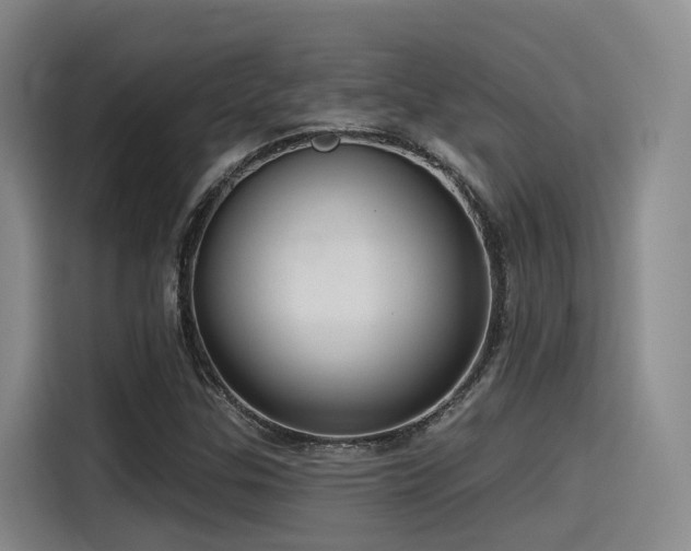 X0000115531307200911061432