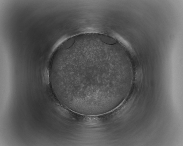 X0000115531310200911061432