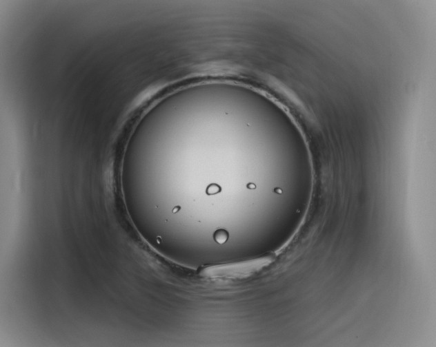 X0000115531315200911061432