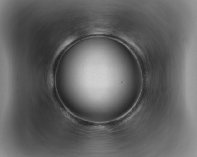 X0000115531317200911061432