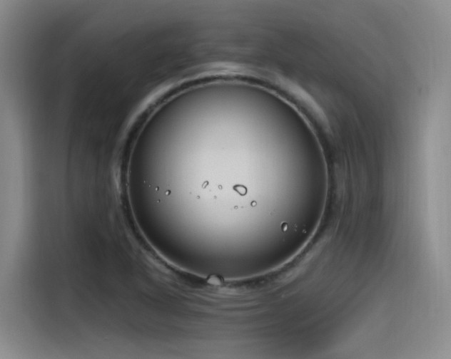 X0000115531318200911061432