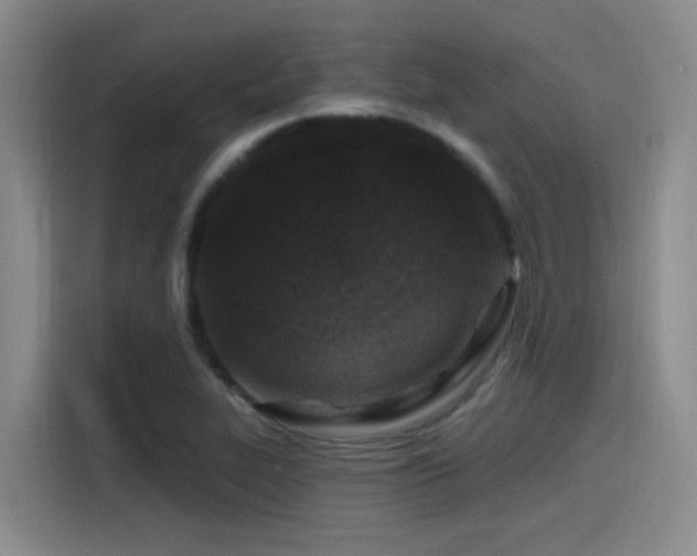 X0000115531319200911061432