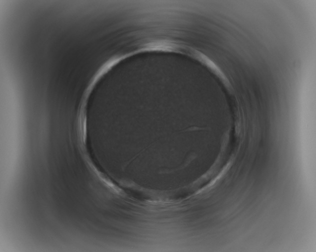 X0000115531323200911061432