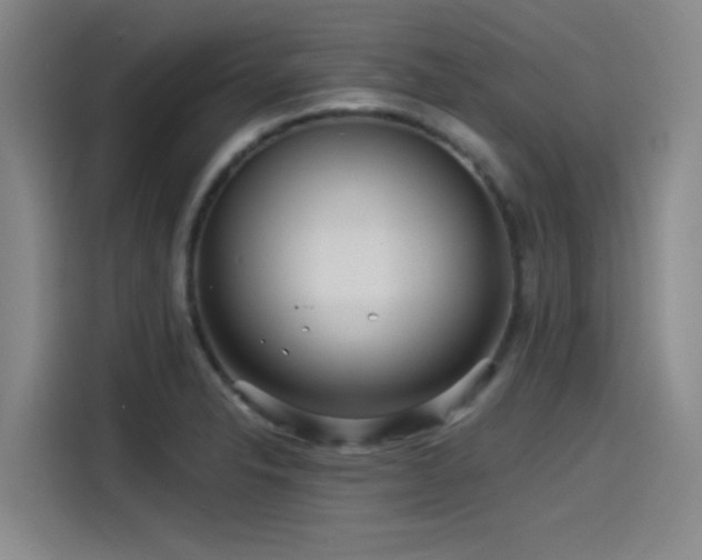 X0000115531326200911061432