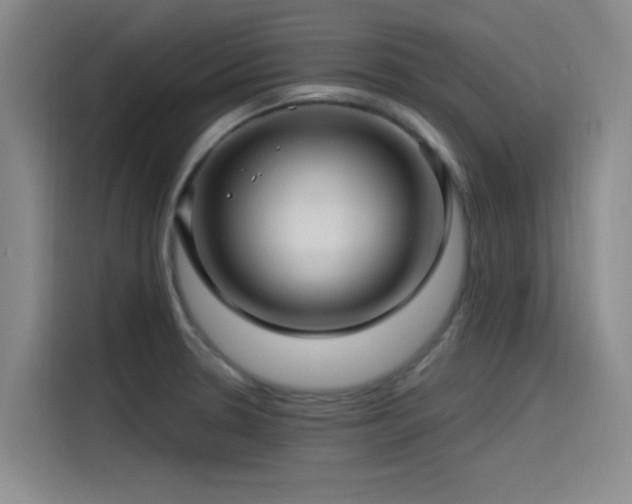 X0000115531330200911061432