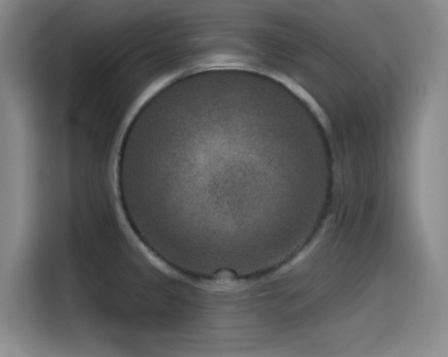 X0000115531333200911061432