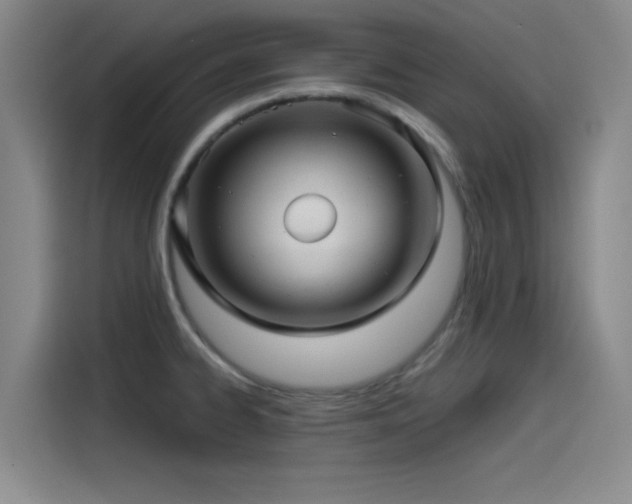 X0000115531334200911061432