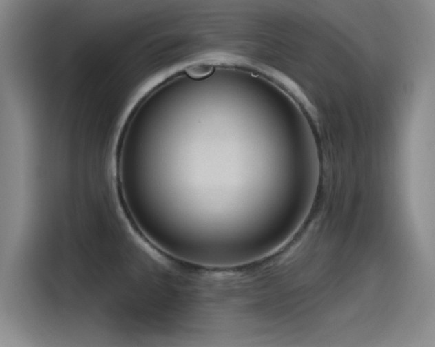 X0000115531335200911061432