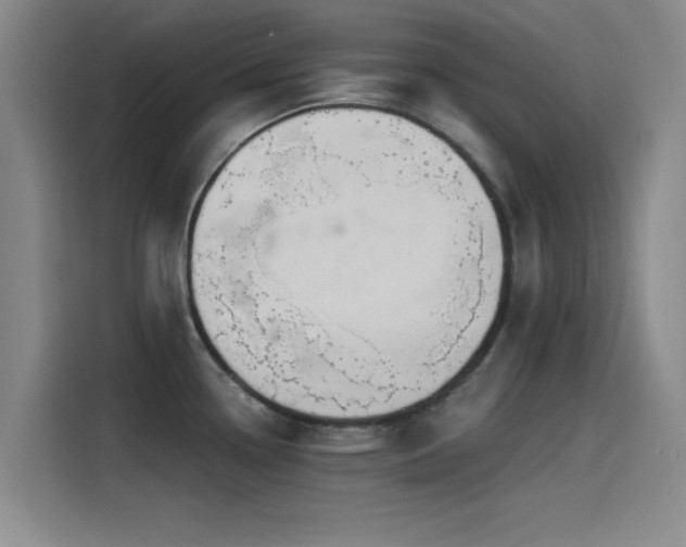 X0000115531338200911061432