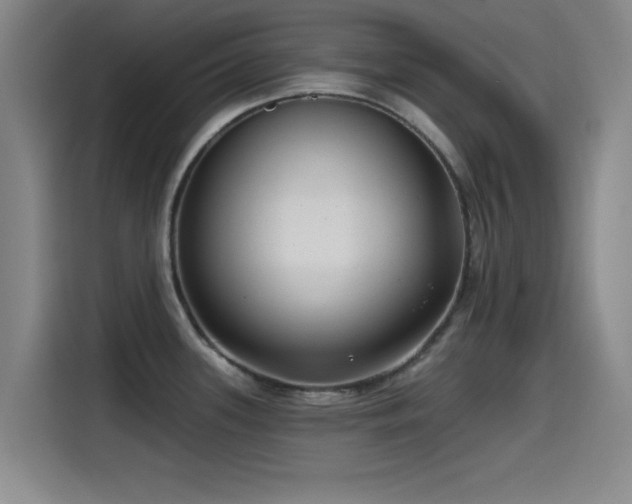 X0000115531339200911061432