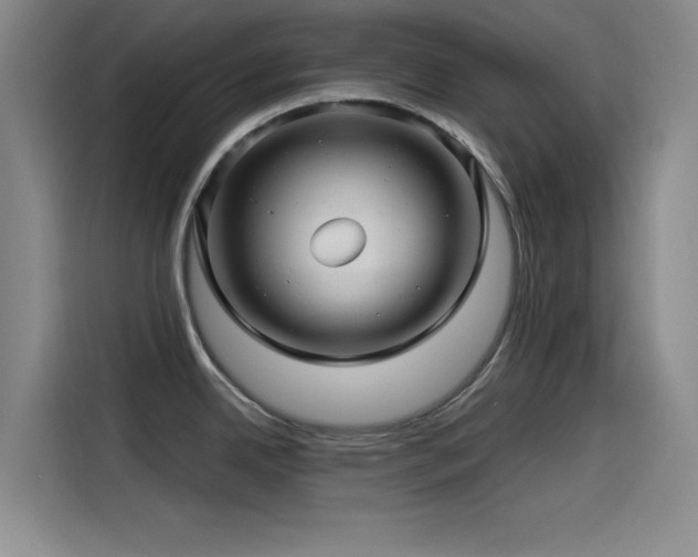 X0000115531342200911061432