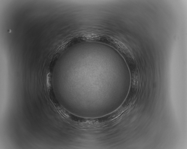 X0000115531346200911061432