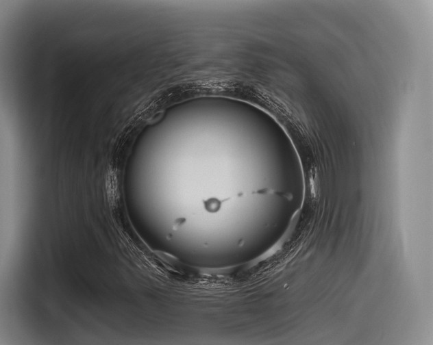 X0000115531347200911061432