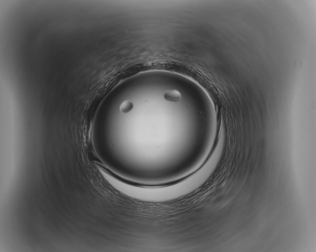 X0000115531348200911061432