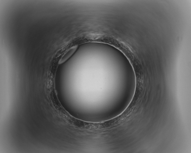X0000115531349200911061432