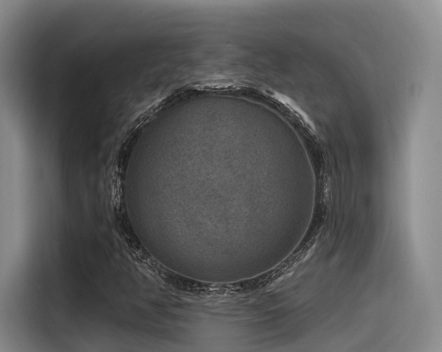 X0000115531350200911061432