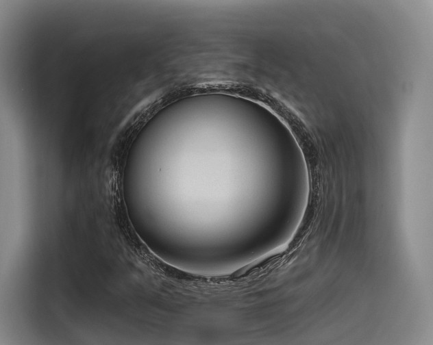 X0000115531351200911061432
