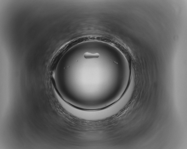X0000115531352200911061432