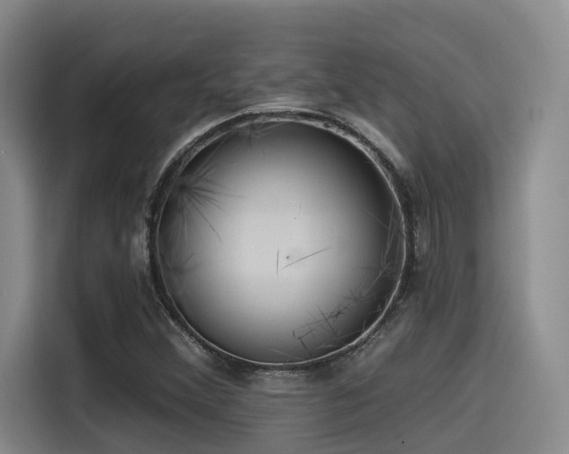 X0000115531356200911061432