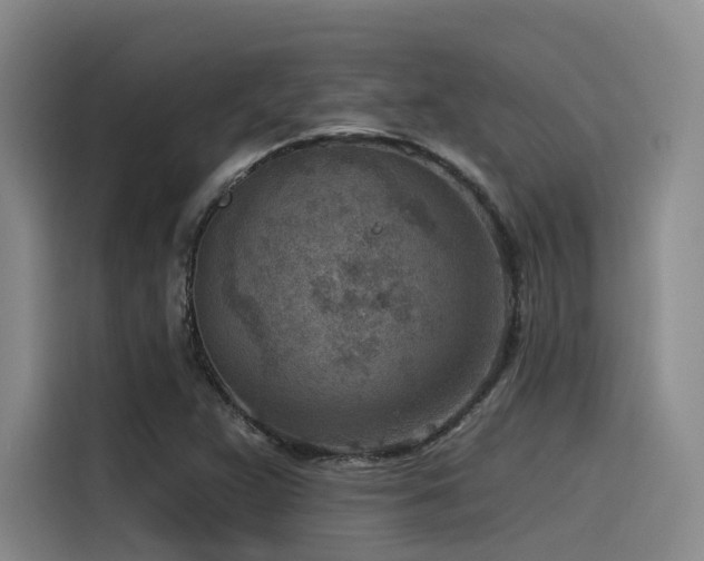 X0000115531359200911061432