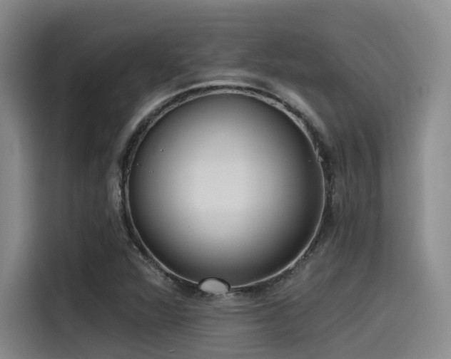 X0000115531360200911061432