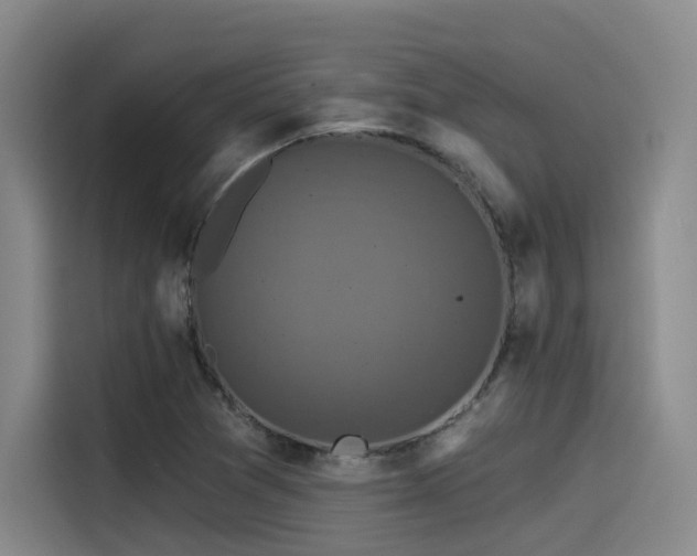 X0000115531361200911061432