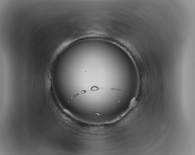 X0000115531363200911061432